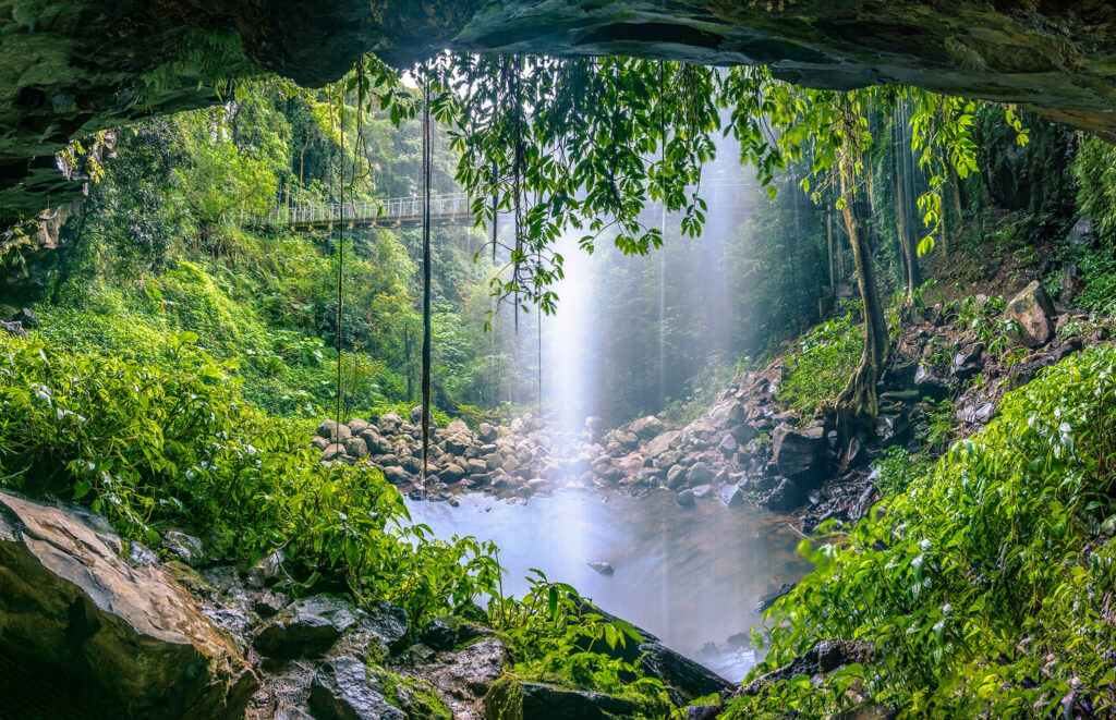 Cascada que cae en un estanque rocoso en la selva tropical de Gondwana.