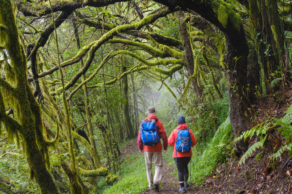 Una pareja explora un denso bosque de laderas en el Parque Nacional de Garajonay.