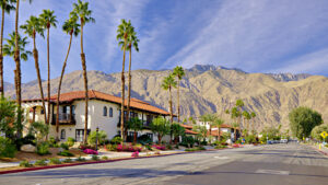 Playtime Amid the Palms