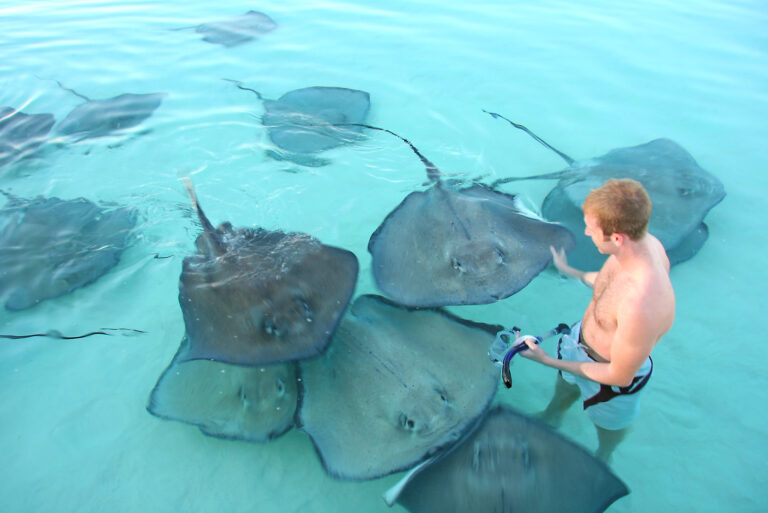 Sun, Splash, and Smiles in Grand Cayman