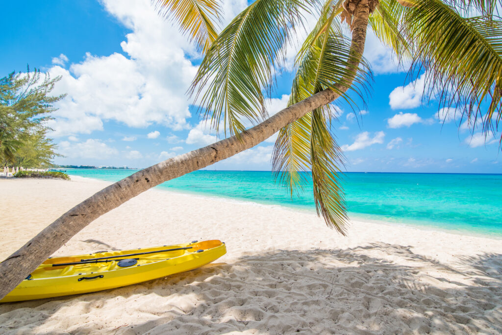 Yellow Kayak under a palm tree on Seven Mile Beach