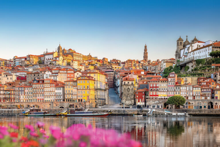 The Joys of Guided Tours