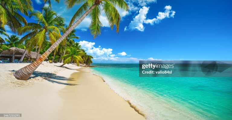 Paradise Found: The Caribbean’s Finest Beaches