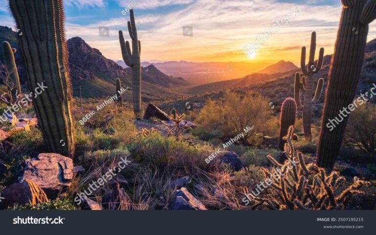 The New Wine Country You Need to Know About